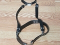 l 0250